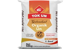 Tok Group